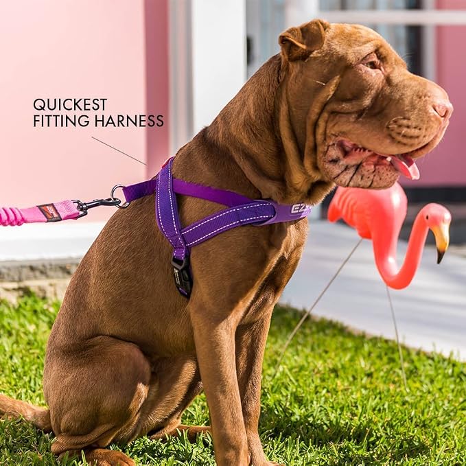 EzyDog Quick Fit Dog Harness, Soft Neoprene Padding - Large, Pink | Fast One-Click Buckle, Adjustable Fit, Strong Reinforced Materials, Reflective Stitching, No Pull Dog Harness, Easy Walking