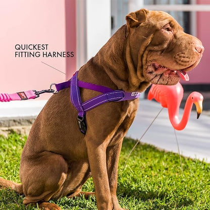 EzyDog Quick Fit Dog Harness, Soft Neoprene Padding - X-Large, Gray | Fast One-Click Buckle, Adjustable Fit, Strong Reinforced Materials, Reflective Stitching, No Pull Dog Harness, Easy Walking