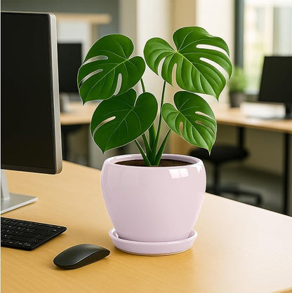 Deep Dream 8 Inch Plant Pots- Ceramic Pots for Plants with Drainage Hole and Saucer, Large Planter Pot for Indoor Plants Outdoor Decor, Pink