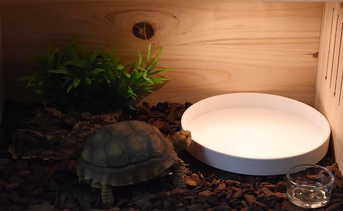 OMEM Reptile Food Bowl Water Dish,Feeding Dish, Birds Bowl (M, White)