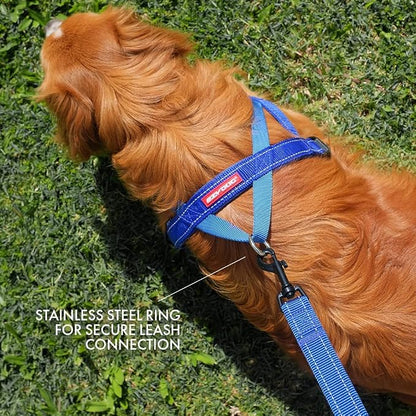 EzyDog Quick Fit Dog Harness, Soft Neoprene Padding - Large, Pink | Fast One-Click Buckle, Adjustable Fit, Strong Reinforced Materials, Reflective Stitching, No Pull Dog Harness, Easy Walking
