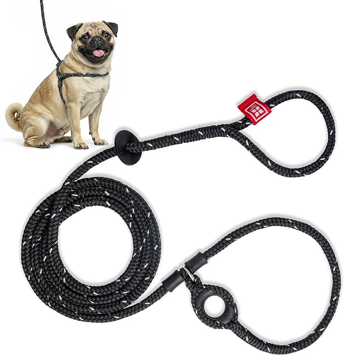 Harness Lead No Pull Dog Harness and Leash Set, Anti Pull Dog Harness for All Breeds and Sizes, One-Piece Cushioned Rope Design Safely Prevents Escaping and Pulling (Small/Medium, Black/Reflective)