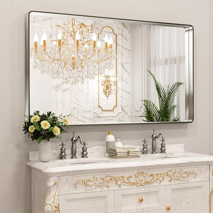 LOAAO 60X30 Inch Brushed Nickel Bathroom Mirror, Rounded Rectangle Silver Metal
