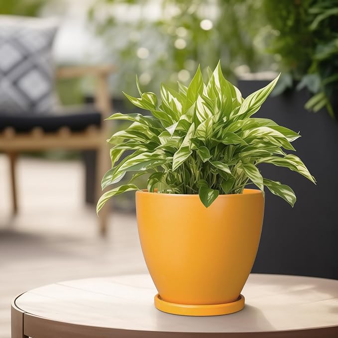 6.8 Inch Plant Pot - Ceramic Planter with Drainage Hole and Saucer, Modern Round Flower Pot, Planters for Indoor Plants, Home Garden Decor, Orange