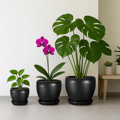 6 Inch Plant Pot - Ceramic Planter with Drainage Hole and Trays, Modern Round Flower Pot, Planters for Indoor Outdoor Plants, Home Garden Decor, Black