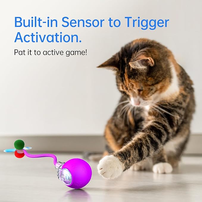 Interactive Cat Toys for Indoor Cats - Kitten Toy with Speedy Tail 2.0, Automatic Cat Toys for Bored Indoor Adult Cats, Motion-Activated, 2025 New Upgraded, USB Rechargeable (Purple)