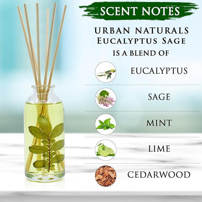 Urban Naturals Eucalyptus Sage Reed Diffuser Oil Gift Set | Eucalyptus