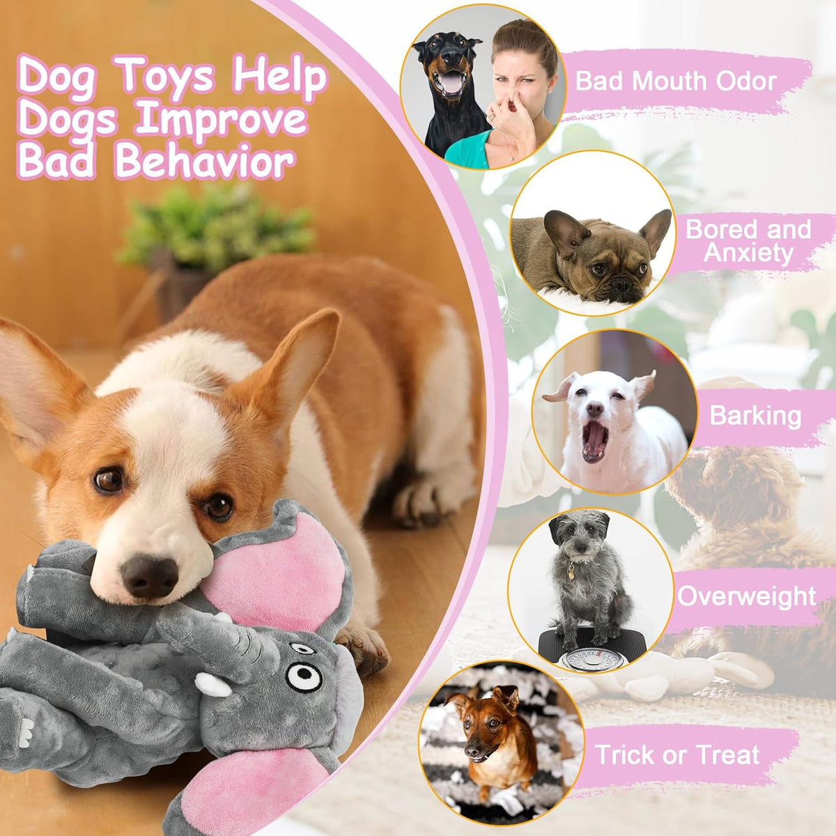 Plush Large Dog Toys with Squeaker and Crinkle Paper, Interactive Puppy Chew and Teeth Cleaning Toy, Pet Toys for Small, Medium and Large Dogs