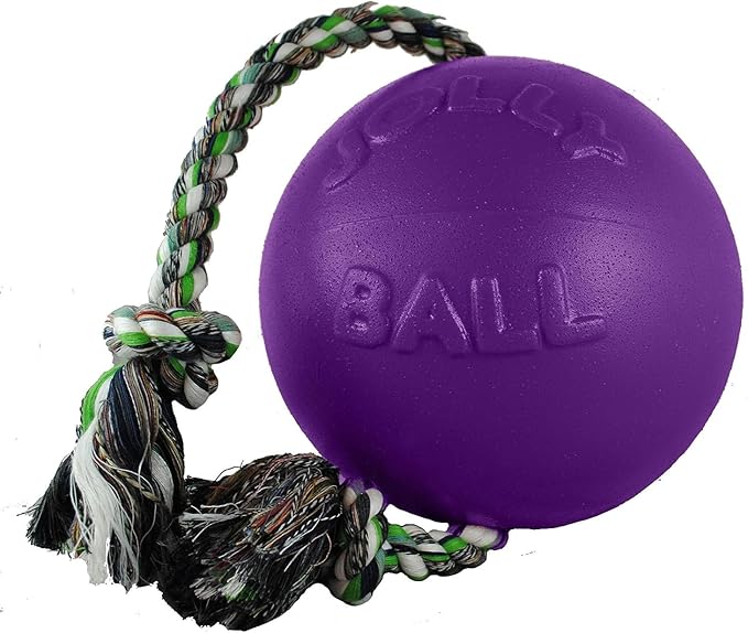 Jolly Pets Romp-n-Roll Rope and Ball Dog Toy, 4.5 Inches/Small, Purple, 4.5-Inch Romp-n-Roll, Purple