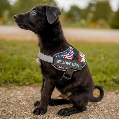 Personalized Dog Harness with Custom Name Patches, Adjustable Reflective No Choke Dog Vest with Handle for Extra Large Dog, Black, XL