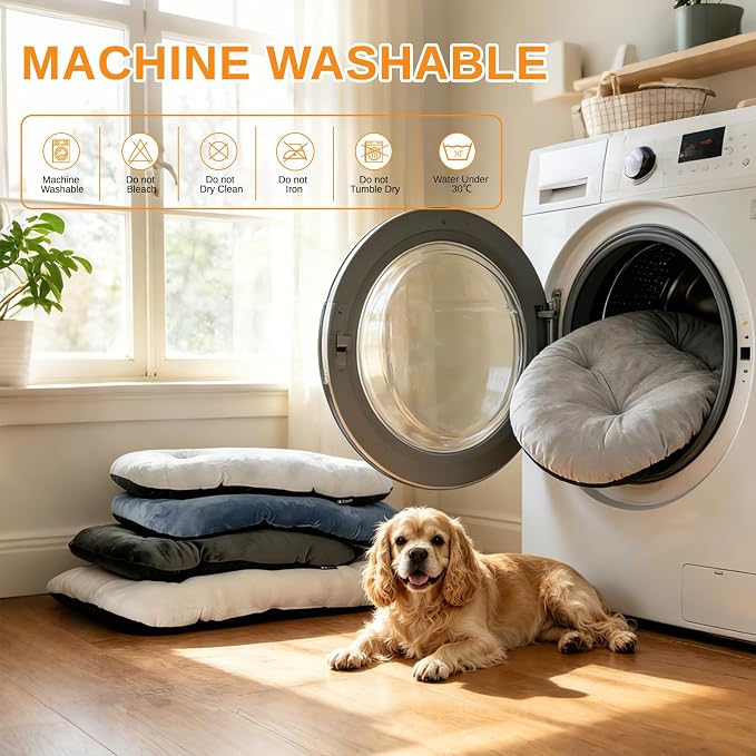 Washable Oval Dog Bed for Large Dogs, Silver-Tipped High-Resilience, Beige | Non-Slip Bottom Prevents Sliding, Soft Plush Short Fur, Machine Washable, Ideal for Crates/Apartments/Cozy Nooks,35"x22"x3.2"