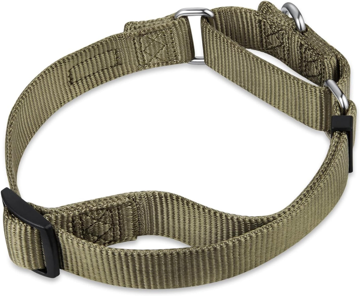 Premium Upgraded Durable Nylon Anti-Escape Martingale Dog Collar for Medium Boy and Girl Dogs Comfy and Safe - Walking, Professional Training, Daily Use. (Medium, Military Green)
