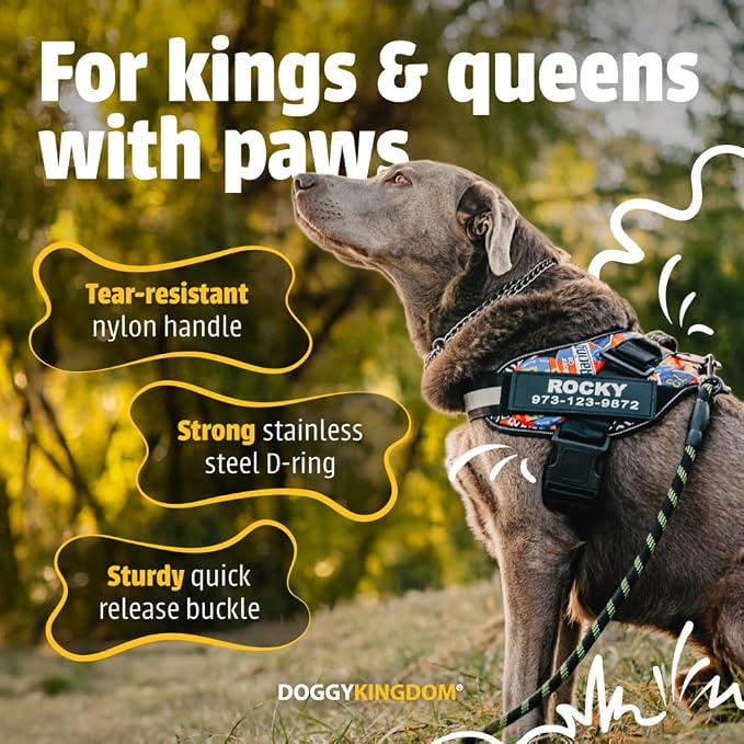 Personalized Dog Harness with Custom Name Patches, Adjustable Reflective No Choke Dog Vest with Handle for Extra Large Dog, Blue, XL