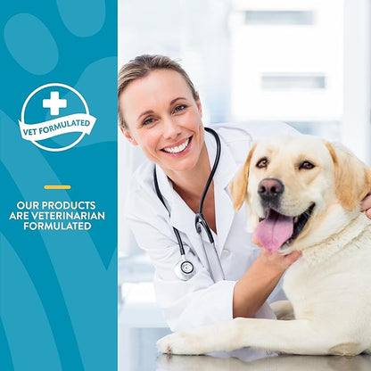 NaturVet Quiet Moments Calming Dog Supplement, Dog Soft Chews with Melatonin to Help Reduce Stress from Storms, the Vet, Fireworks, and Travel, Bacon and Chicken Flavored Pet Supplement, 240 Count Jar