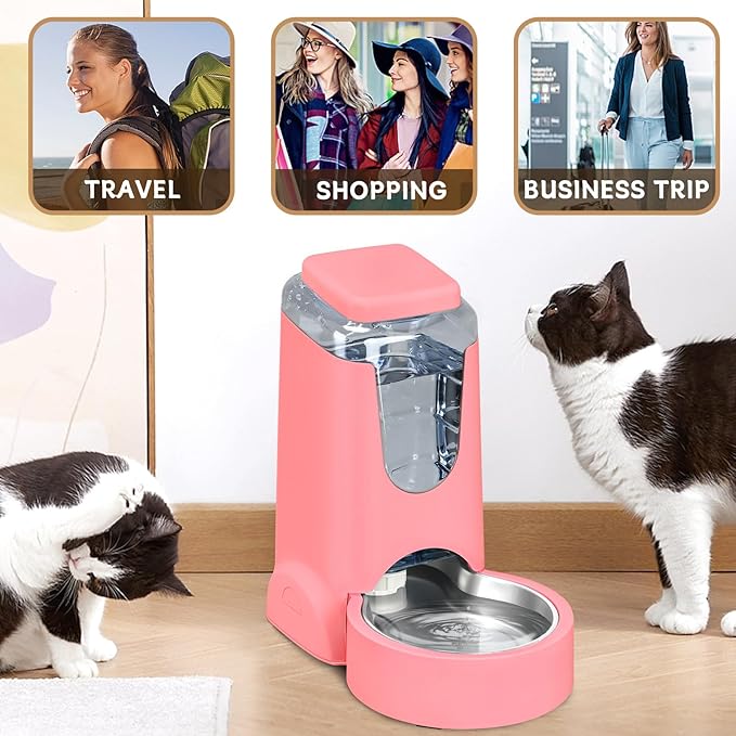Automatic Cat Feeder and Water Dispenser