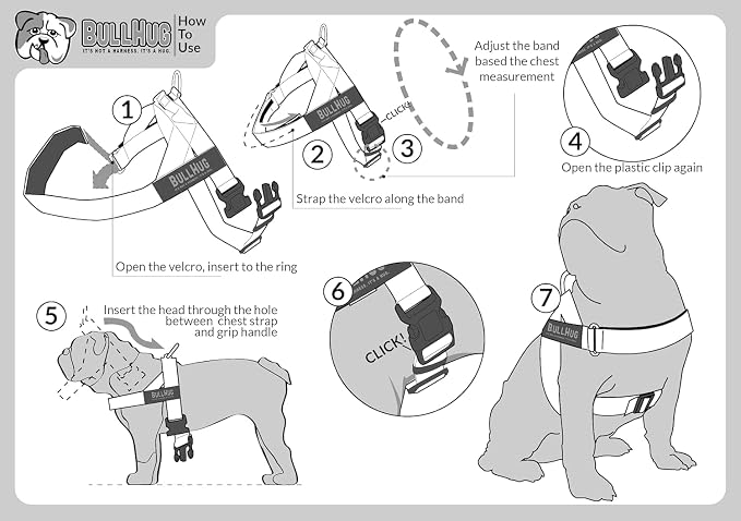 Adjustable Dog Harness– No Pull, No Choke – for English Bulldogs, French Bulldogs, Pugs & Broad-Chested Breeds – Easy, Safe Walks (Teal, Large)