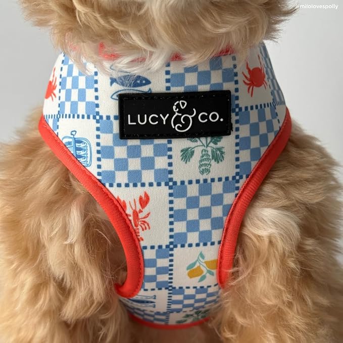 Lucy & Co. Sunny in Sicily Reversible Dog Harness, Adjustable Comfort Fit with Dual Leash Attachments, X-Large