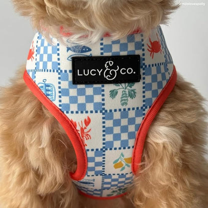 Lucy & Co. Sunny in Sicily Reversible Dog Harness, Adjustable Comfort Fit with Dual Leash Attachments, X-Large