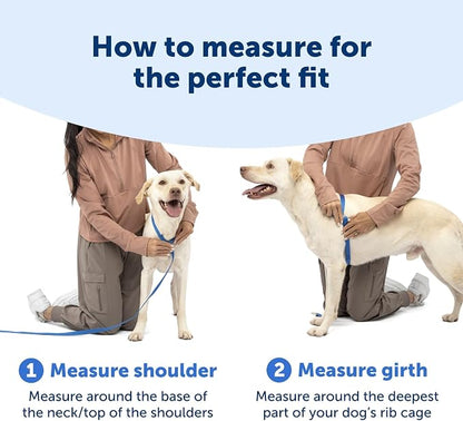 PetSafe Easy Walk Comfort No Pull Dog Harness, Green Gingham, Medium | Stops Pulling on First Use with Front Martingale Loop, Padded Comfort, 5-Point Adjustable Fit