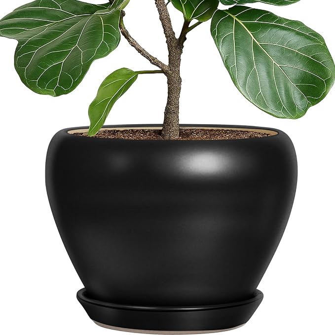 Deep Dream 10 Inch Plant Pot- Ceramic Planter Pot Round Plant Pots for Indoor Plants Outdoor Large Flower Pot with Drainage Holes & Trays, Black