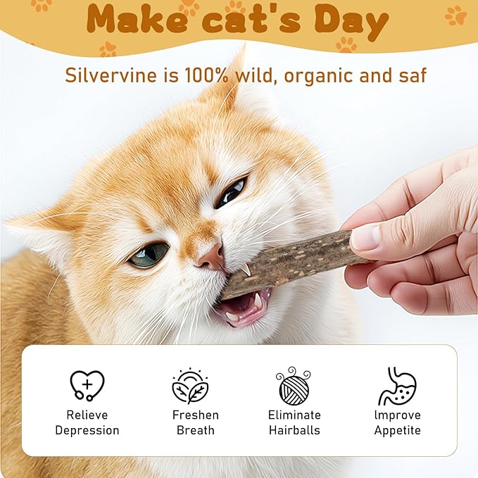 WoLover Silvervine Sticks for Cats, Natural Catnip Matatabi Chew Sticks Teeth Molar Chew Toys for Cat Kitten Kitty (at Least 12 PCS)