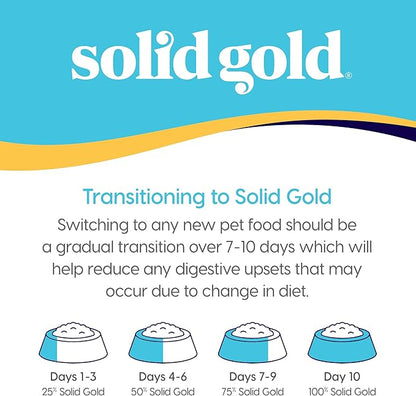 Solid Gold Canned Dog Food for Adult & Senior Dogs - Made with Real Lamb and Healthy Whole Grains - Hund-N-Flocken High Calorie, High Protein Wet Dog Food