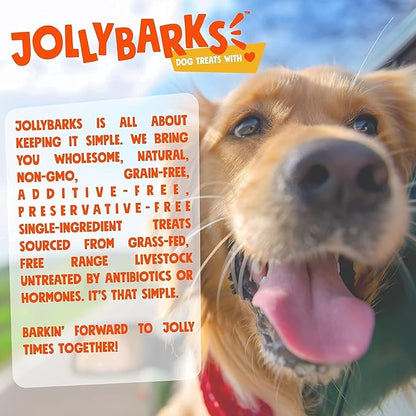 Bully Sticks for Small Dogs | All Natural, Single Ingredient Bully Sticks for Puppies to Medium Dogs (12" Stnd Bully Sticks - 1pk)