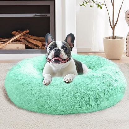 JOLLYVOGUE Calming Small Dog & Cat Bed for Indoor Cats - 20 inches Washable Donut Bed for Kittens & Puppies, Anti-Anxiety Round Fluffy Plush Pet Beds (Fits up to 15 lbs, Mint Green)