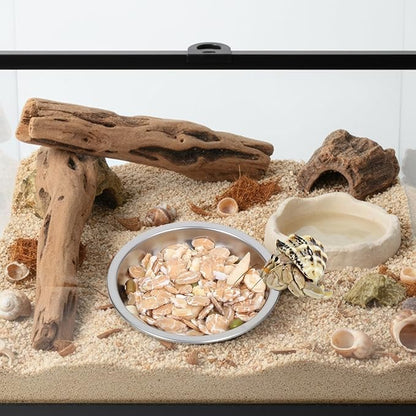 4 Pack Hermit Crab Food and Water Bowl, Small Stainless Steel Reptile Feeding Dish Bowl Mini Feeding Dishes for Hermit Crab Lizard Gecko Bearded Dragon Chameleon (2" W x 2" D x 0.4" H)