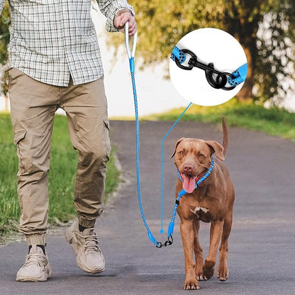 Detachable 2/5" Slip Lead, 4FT 6FT 8FT with Comfortable Silicone Handle Strong Rope Leash for Large Medium Small Dogs No Pull Highly Reflective Pet Training Leash (Blue-Black, 6FT)