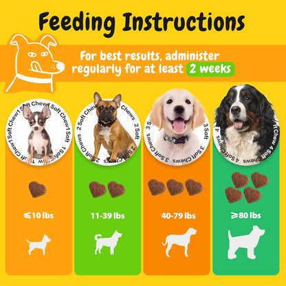 Penpen Probiotics for Dogs, Dogs Probiotics for Digestive Health, Multi-Probiotic and Enzyme Blend Promote Gut Health & Immune Support, Eases Sensitive Stomachs (Beef Chews, 50ct)