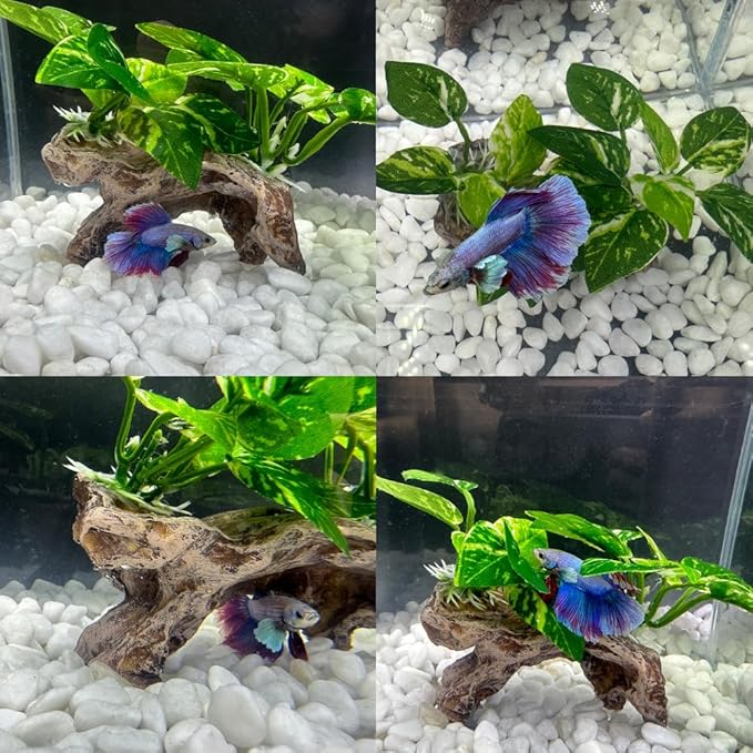 Smoothedo-Pets Fish Tank Decorations Aquarium Decor Ornaments Betta Silk Leaf pad Hammock Artifical Driftwood cave Goldfish Bowl Accessories (Type-C)