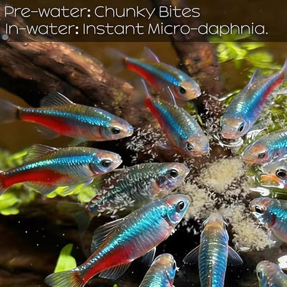 Daphnia All Natural Tropical Fish Food for Small to Medium Sized Saltwater & Freshwater Fish - Betta Guppy Discus Cichlids Discus Goldfish Angel Fish