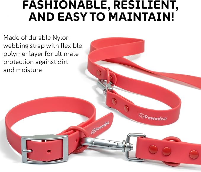 Dog Harness, Collar & Leash Set, Adjustable No Pull Harness with 3 Leash Clips, Waterproof Matching Collar & Leash, Breathable Comfort (Red Watermelon, Medium)