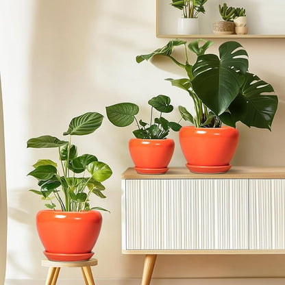 Ceramicfor Ceramic Pot for Plants - 10 Inch Plant Pot with Drainage Hole and Saucer, Modern Round Glaze Planter for Indoor Outdoor Plants, Plant Lover Gifts, Home Garden Office Decor, Orange