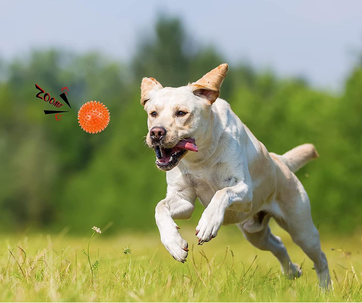 petizer 6 Pack 4.5inch Squeaky Dog Toy Balls Floating Spiky Pool Balls Interactive Fetch Toys for Large Dog