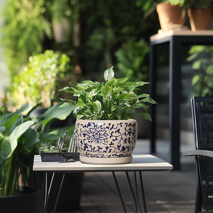 SQOWL Ceramic Planters for Indoor Plants - 8 inch Plant Pot with Drainage Hole and Saucer, Decorative Flower Pot Outdoor, Porcelain Round Planter, Living Room Decor, Gardening Gifts, Blue and Beige