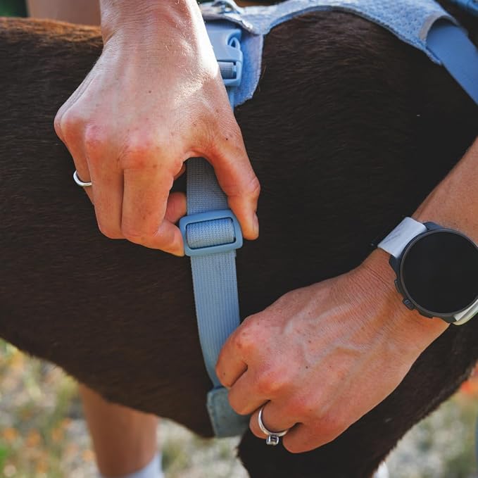 Ruffwear, Front Range Flex Dog Harness, Engineered Knit Construction for Ultimate Fit and Mobility, Lightweight Flexible Everyday Harness with Dual Leash Clips, Basalt Gray, X-Small