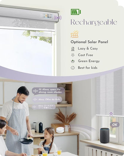 Graywind Motorized Silky Light Filtering Shades Compatible