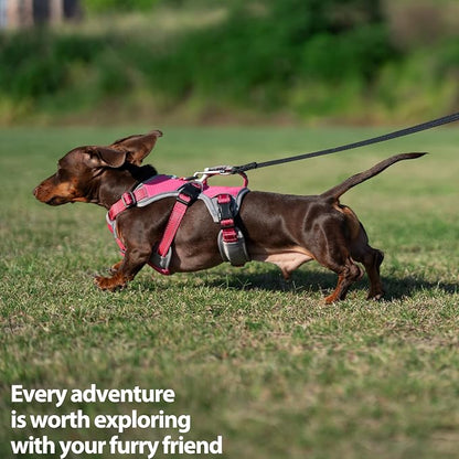 Escape Proof Dog Harness, Dachshund Harness, Reflective Dog Harness with Handle, Durable,Adjustable Vest for Small Medium Large Dogs Walking, Training, and Running Gear (Rose red,M)