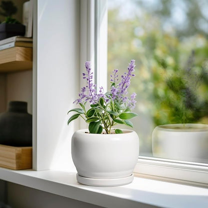 SQOWL Ceramic Flower Pots - 6 Inch Plant Pot Indoor Outdoor, Ceramic Planter with Drainage Hole and Saucer, Modern Round Succulent Planter, Bookshelf Decor, House Warming Gifts New Home, White