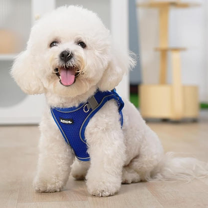 AIITLE Step in Dog Harness and Leash Set - Summer No Pull Escape Proof Vest Harnesses with Soft Mesh and Reflective Bands, Adjustable Pet Outdoor Harnesses for Small and Medium Dogs Royal Blue M