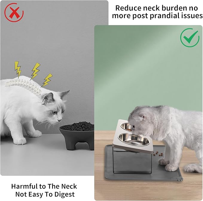 Upgraded Elevated Cat Bowls with Food Mat,15°Tilted Stand Anti Vomiting Raised Cat Dishes for Food and Water,2 Stainless Steel Bowls for Cats and Puppy（Gray）