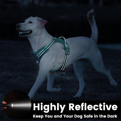 No Pull Dog Harness, Reflective Puppy Vest for Small Medium Large Sized Dog(MARRS Green,S)