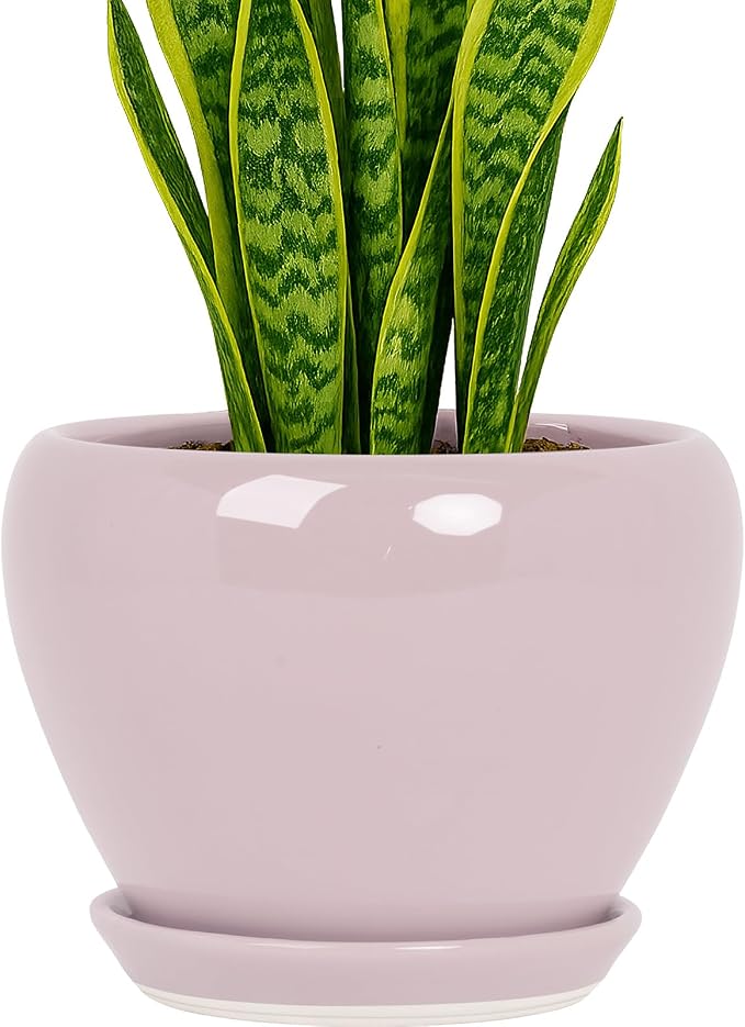 Deep Dream 8 Inch Plant Pots- Ceramic Pots for Plants with Drainage Hole and Saucer, Large Planter Pot for Indoor Plants Outdoor Decor, Pink