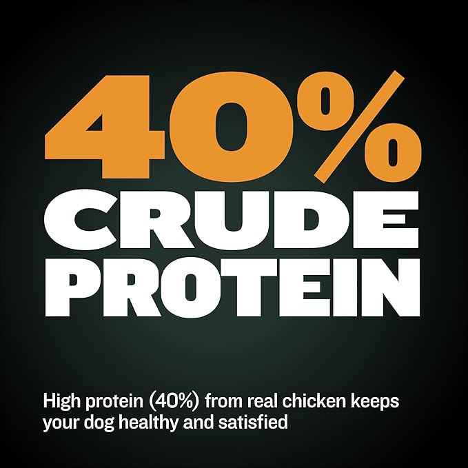Bully Max Premium High Protein Dog Treats for Puppy & Adult Dogs - Training Dog Food Treats with 40% Protein, Real Meat, Veggies & BCAAs for Small, Medium & Large Breeds - Chicken Flavor (2 Pack)