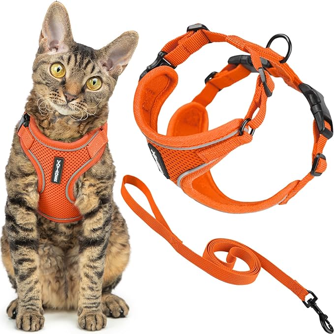 Voyager Escape Proof Cat Harness and Leash Set with Reflective Stitching, Neoprene Handle 5ft - Supports Small, Medium and Large Cats, Kittens for Walking by Best Pet Supplies - Orange, XXS
