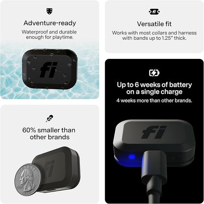 Fi Mini GPS Tracker for Dogs — 6-Month Membership Included — Smart Pet Tracking