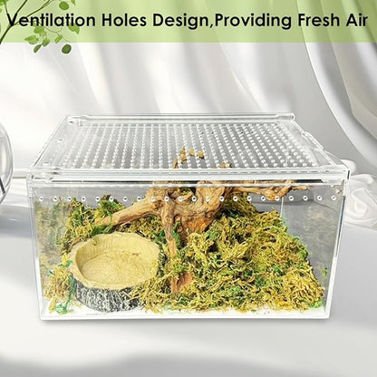 Reptile Terrarium Enclosure 10" x 6" x 6" Acrylic Tarantula Breeding Box Magnetic Hermit Crab Habitat Transparent Jumping Spider Cage for Insect Snail Amphibians Sling Isopods
