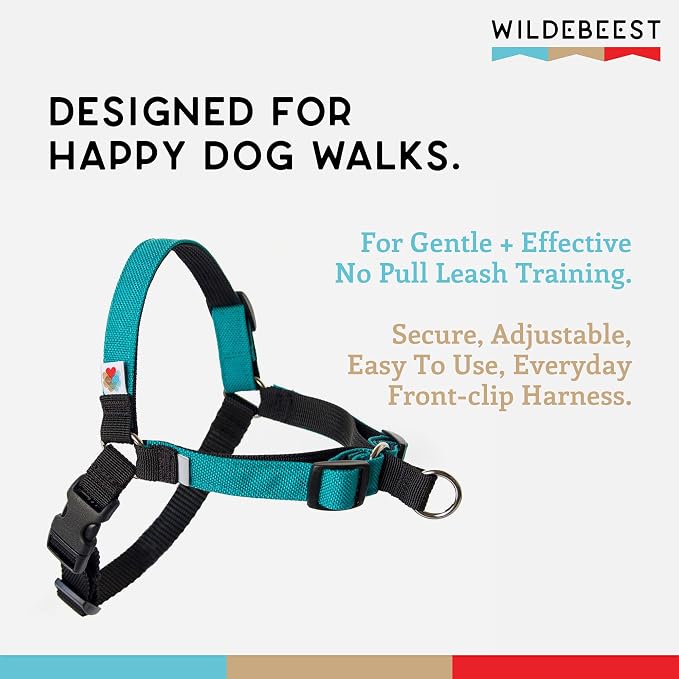 No Pull Dog Harness | Comfortable Training Harnesses | Effective No Pull Harness Design | Ideal for Large Sized Dog | 4-Point Adjustable(XL - 30~36 inch Girth, Turquoise)